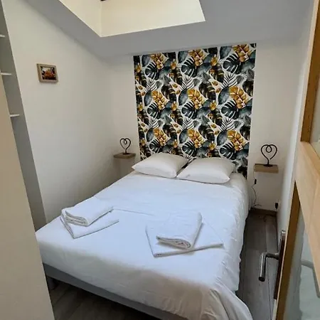 T2 Vieux Mans Face Cathedrale Rue Pietonne *