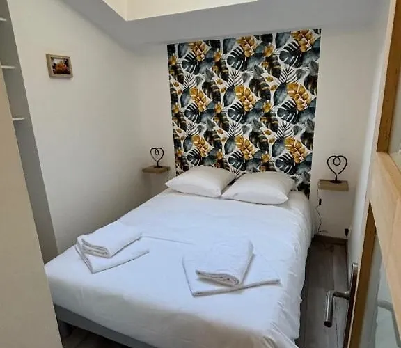 T2 Vieux Mans Face Cathédrale Rue Piétonne *