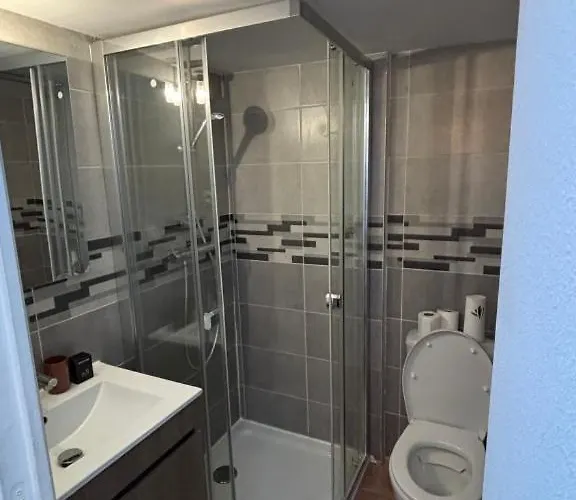 T2 Vieux Mans Face Cathédrale Rue Piétonne Appartement *