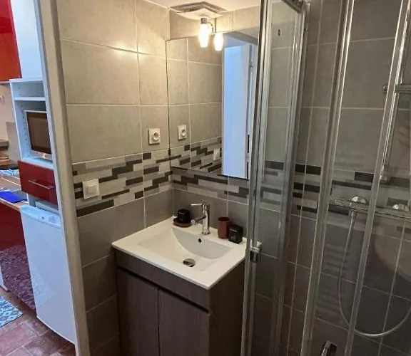 T2 Vieux Mans Face Cathédrale Rue Piétonne Appartement *